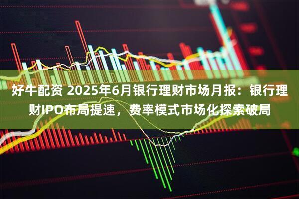 好牛配资 2025年6月银行理财市场月报：银行理财IPO布局提速，费率模式市场化探索破局