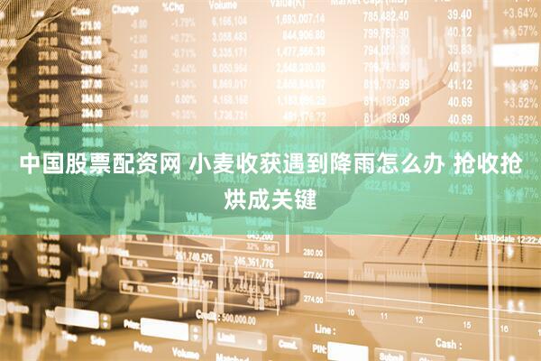 中国股票配资网 小麦收获遇到降雨怎么办 抢收抢烘成关键