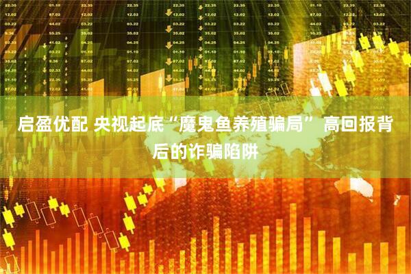 启盈优配 央视起底“魔鬼鱼养殖骗局” 高回报背后的诈骗陷阱