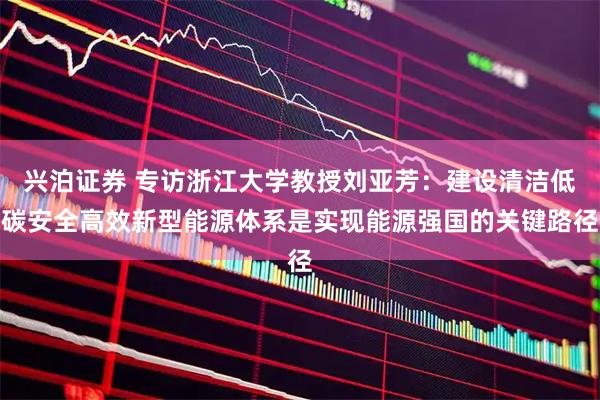 兴泊证券 专访浙江大学教授刘亚芳：建设清洁低碳安全高效新型能源体系是实现能源强国的关键路径