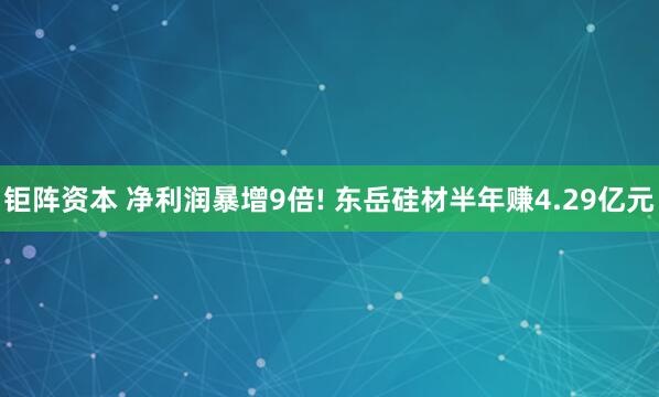 钜阵资本 净利润暴增9倍! 东岳硅材半年赚4.29亿元